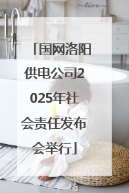 国网洛阳供电公司2025年社会责任发布会举行