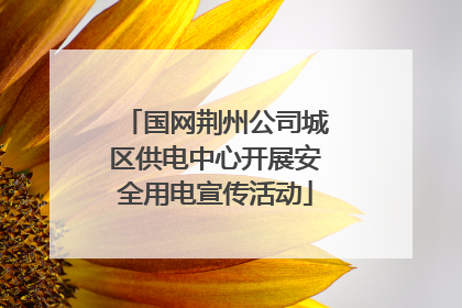 国网荆州公司城区供电中心开展安全用电宣传活动