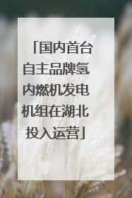 国内首台自主品牌氢内燃机发电机组在湖北投入运营