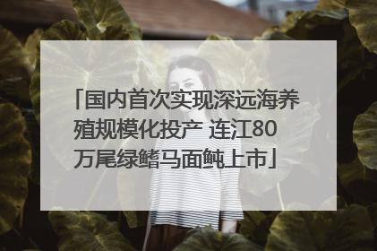 国内首次实现深远海养殖规模化投产 连江80万尾绿鳍马面鲀上市