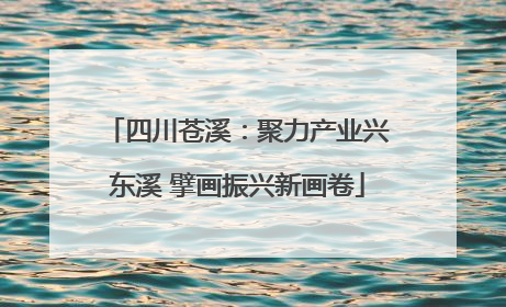 四川苍溪：聚力产业兴东溪 擘画振兴新画卷