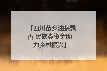 四川苗乡油茶飘香 民族类资金助力乡村振兴