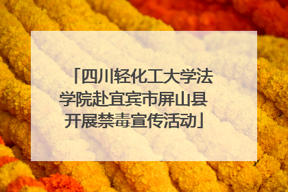 四川轻化工大学法学院赴宜宾市屏山县开展禁毒宣传活动