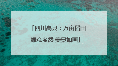 四川高县：万亩稻田绿意盎然 美景如画
