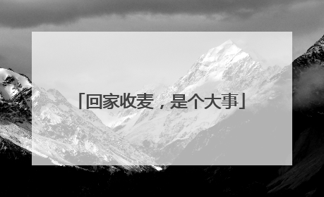 回家收麦，是个大事