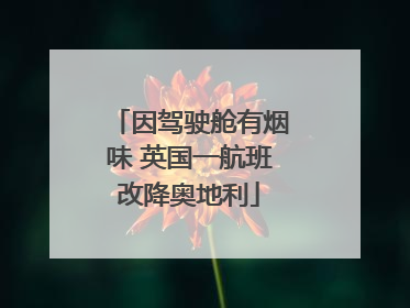 因驾驶舱有烟味 英国一航班改降奥地利
