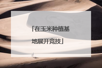在玉米种植基地展开竞技