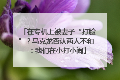 在专机上被妻子“打脸”？马克龙否认两人不和：我们在小打小闹