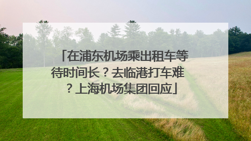 在浦东机场乘出租车等待时间长？去临港打车难？上海机场集团回应