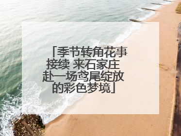 季节转角花事接续 来石家庄赴一场鸢尾绽放的彩色梦境