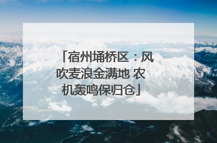 宿州埇桥区：风吹麦浪金满地 农机轰鸣保归仓