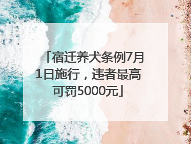 宿迁养犬条例7月1日施行，违者最高可罚5000元