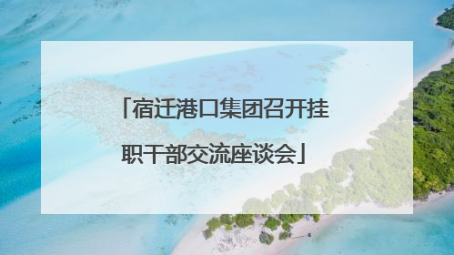 宿迁港口集团召开挂职干部交流座谈会