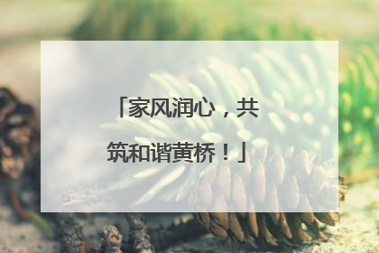 家风润心，共筑和谐黄桥！
