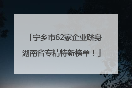宁乡市62家企业跻身湖南省专精特新榜单！