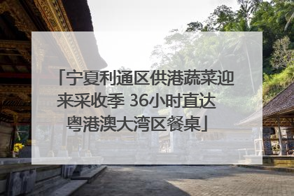 宁夏利通区供港蔬菜迎来采收季 36小时直达粤港澳大湾区餐桌