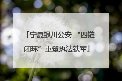 宁夏银川公安 “四链闭环”重塑执法铁军