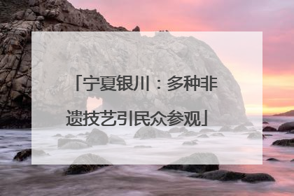 宁夏银川：多种非遗技艺引民众参观