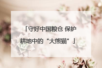 守好中国粮仓 保护耕地中的“大熊猫”