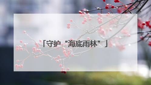 守护“海底雨林”