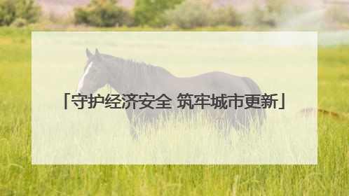 守护经济安全 筑牢城市更新