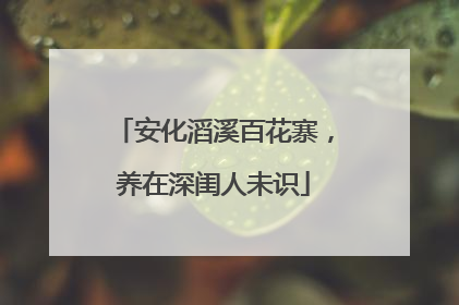 安化滔溪百花寨，养在深闺人未识