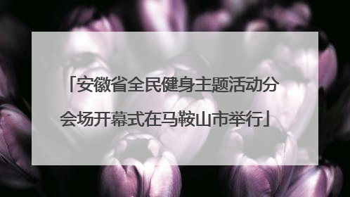 安徽省全民健身主题活动分会场开幕式在马鞍山市举行