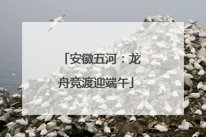 安徽五河：龙舟竞渡迎端午