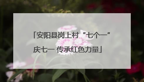 安阳县岗上村“七个一”庆七一 传承红色力量