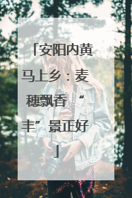 安阳内黄马上乡：麦穗飘香 “丰”景正好