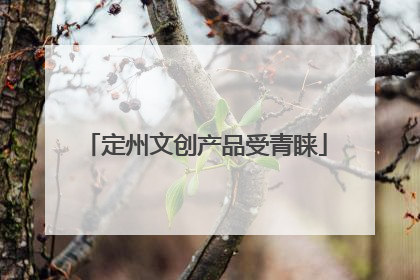 定州文创产品受青睐