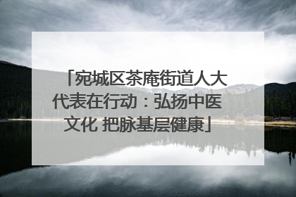 宛城区茶庵街道人大代表在行动：弘扬中医文化 把脉基层健康