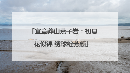 宜章莽山燕子岩：初夏花似锦 绣球绽芳颜