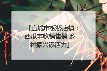 宜城市板桥店镇：西瓜丰收销售俏 乡村振兴添活力