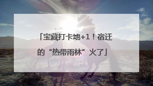 宝藏打卡地+1！宿迁的“热带雨林”火了
