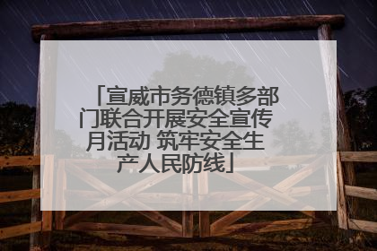 宣威市务德镇多部门联合开展安全宣传月活动 筑牢安全生产人民防线