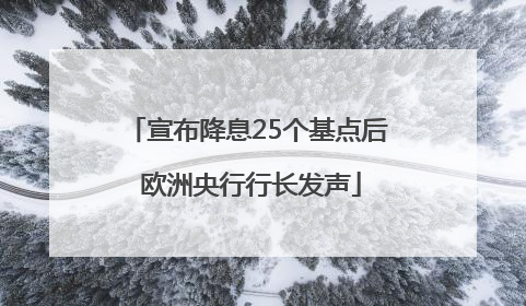 宣布降息25个基点后 欧洲央行行长发声