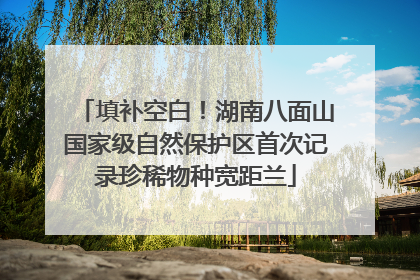填补空白！湖南八面山国家级自然保护区首次记录珍稀物种宽距兰