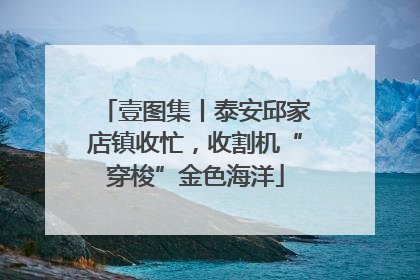 壹图集丨泰安邱家店镇收忙，收割机“穿梭”金色海洋