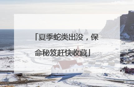 夏季蛇类出没，保命秘笈赶快收藏