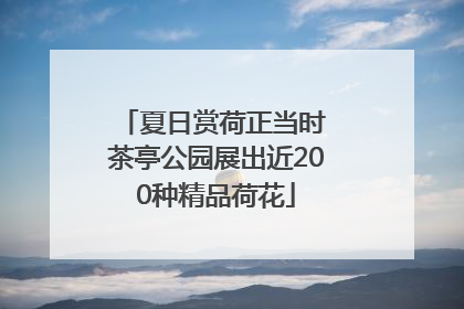 夏日赏荷正当时 茶亭公园展出近200种精品荷花