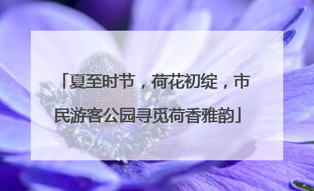 夏至时节，荷花初绽，市民游客公园寻觅荷香雅韵