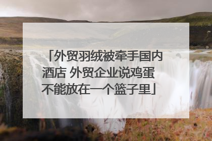 外贸羽绒被牵手国内酒店 外贸企业说鸡蛋不能放在一个篮子里