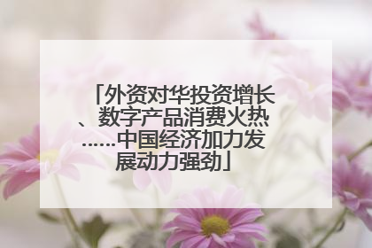 外资对华投资增长、数字产品消费火热……中国经济加力发展动力强劲