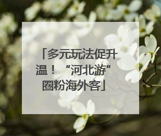 多元玩法促升温！“河北游”圈粉海外客