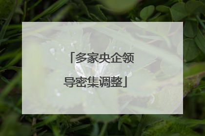 多家央企领导密集调整