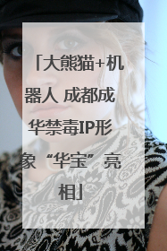 大熊猫+机器人 成都成华禁毒IP形象“华宝”亮相