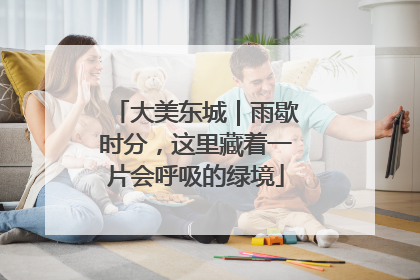 大美东城｜雨歇时分，这里藏着一片会呼吸的绿境