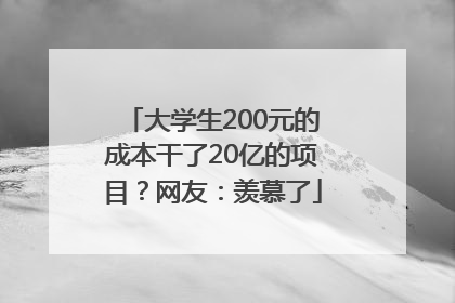 大学生200元的成本干了20亿的项目？网友：羡慕了