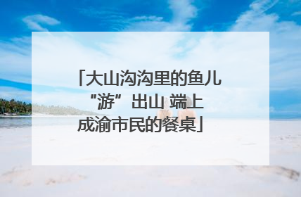 大山沟沟里的鱼儿 “游”出山 端上成渝市民的餐桌